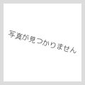 (2014/1)ストームアタック(聖剣大戦)【R】{BS14-100}《緑》