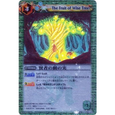 〔状態A-〕(2011/無)賢者の樹の実(ホイル加工/BSC07収録)【C】{BS06-081}《緑》