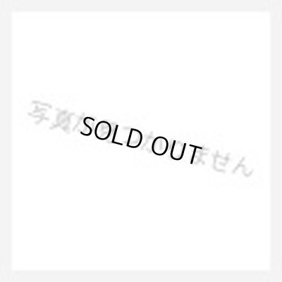 画像1: (2022/8)選ばれし探索者アレックス(金/WILDBOUTR×R)【M】{BS52-RV007}《多》