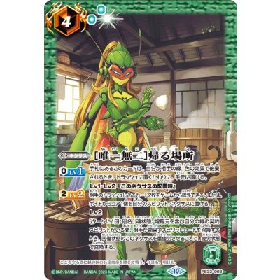 画像1: (2023/10)[唯一無二]帰る場所【PB】{PB33-003}《緑》