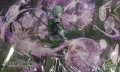 プレイマット『魔導の契約神ハデス(バトラーズツアー2024)』【-】{-}《サプライ》