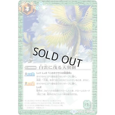 画像1: 〔状態A-〕(2016/3)白雲に茂る天翼樹【R】{BS35-078}《緑》