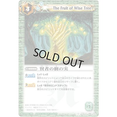 画像1: (2011/無)賢者の樹の実【C】{BS06-081}《緑》