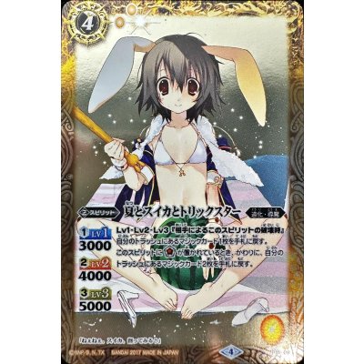 画像1: 〔状態A-〕(2017/4)夏とスイカとトリックスター【P】{P15-09}《黄》