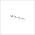 (2025/5)皇獣王Z(WINNER)【X】{BS47-X01}《赤》