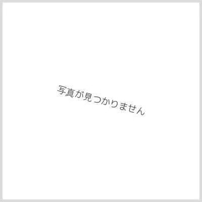 画像1: (2025/5)皇獣王Z(WINNER)【X】{BS47-X01}《赤》