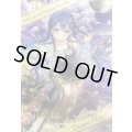 (/)(ブロマイド)[ずっと一緒に]ディアナ・フルール【-】{D08-09}《》