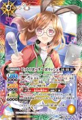(2026/13)ピットレポーター・ポリッシュ【PX】{PX26-02}《多》
