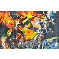 プレイマット『ライジング・アポロドラゴンVSルナテック・ストライクヴルム(PB47)』【-】{-}《サプライ》