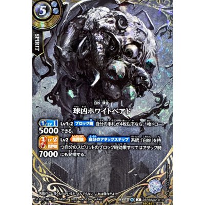 画像1: (2026/A)(SECRET)球凶ホワイトベアド【X-SEC】{26RBS02-X10}《白》