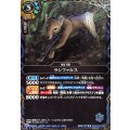 (2026/A)(SECRET)ラシファルス【R-SEC】{26RBS03-069}《青》