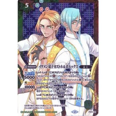〔状態B〕(2015/2)イケメン双子カストル＆ポルックス【P】{PB15-02}《多》