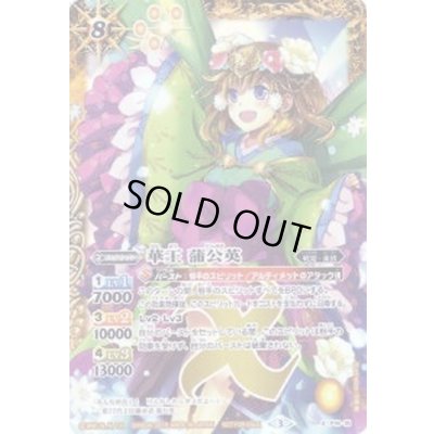 画像1: 〔状態B〕(2016/3)華王蒲公英【X】{P16-15}《黄》