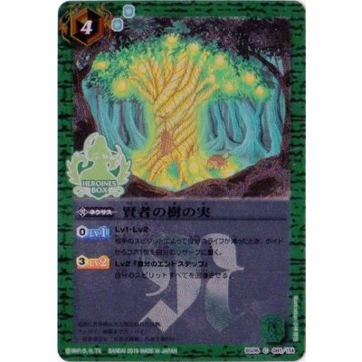 (2019/無)賢者の樹の実(PB01収録)【C】{BS06-081}《緑》