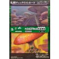 (2025/無)(転醒チェックリスト)ユム・カアシュの粘菌神殿/大茸人オニナラダ【-】{BS73-067a/BS73-067b}《緑》