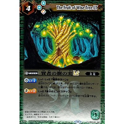 (2024/11)賢者の樹の実LT(Xレア仕様)【C】{BSC45-087}《緑》