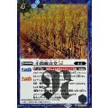 (2025/12)(SECRET)千間観音堂LT【C-SEC】{BSC48-045}《青》