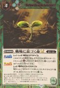 (2025/12)(SECRET)戦場に息づく命LT【R-SEC】{BSC49-077}《緑》