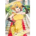 (/)(ブロマイド)［10thディーバ］フォンニーナ【-】{D03-07}《》
