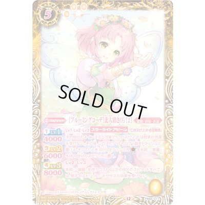 画像1: (2025/12)[ブルーミングコーデ] 北大路さくら [2]【PB】{PB44-011}《黄》