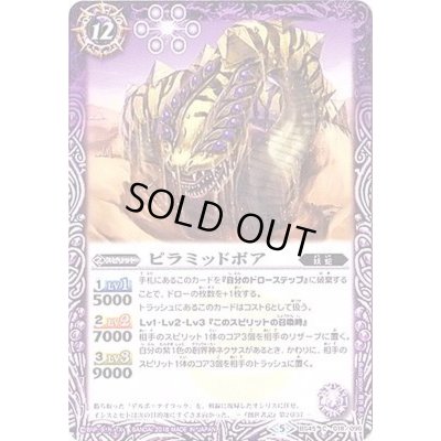 画像1: (2018/5)ピラミッドボア【C】{BS45-018}《紫》