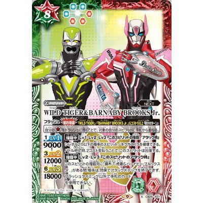 〔状態A-〕(2022/9)WILDTIGER＆BARNABYBROOKSJr.【X】{CB26-X01}《多》
