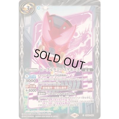 画像1: (2024/10)ビークルケミー スケボーズ【C】{CB30-060}《白》