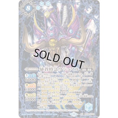 画像1: (2024/11)暴蒼特急ウシュマル【NX】{BS69-NX03}《青》