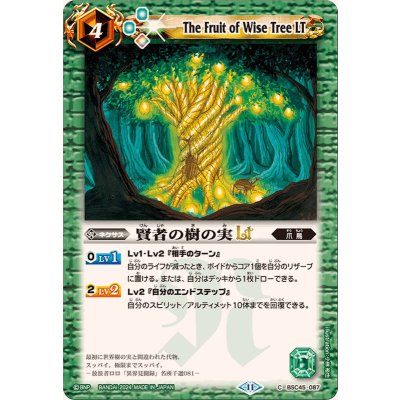 (2024/11)賢者の樹の実LT【C】{BSC45-087}《緑》
