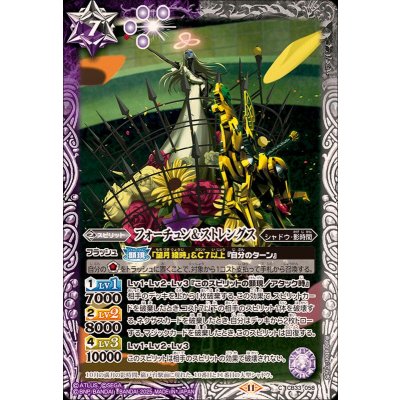 (2025/11)フォーチュン＆ストレングス【C】{CB33-058}《多》