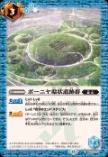 (2025/12)ボーニヤ環状遺跡群【C】{BS72-074}《青》