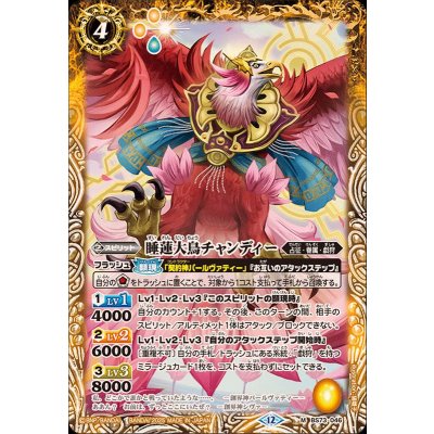 (2025/12)睡蓮大鳥チャンディー【M】{BS73-046}《黄》