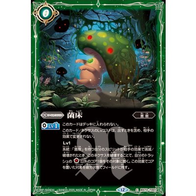 (2025/12)菌床【C】{BS73-T001}《緑》