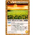 (2025/12)明星きらめく花園LT【R】{BSC49-080}《黄》
