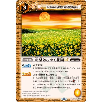 画像1: (2025/12)明星きらめく花園LT【R】{BSC49-080}《黄》
