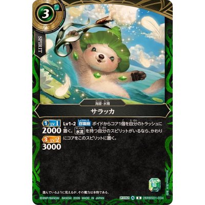 画像1: (2026/A)サラッカ【R】{26RBS01-034}《緑》