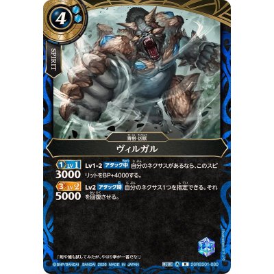 画像1: (2026/A)ヴィルガル【R】{26RBS01-080}《青》