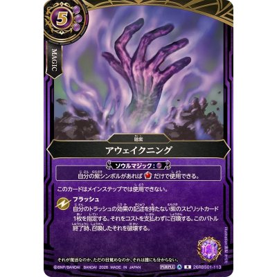 画像1: (2026/A)アウェイクニング【R】{26RBS01-113}《紫》