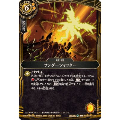 画像1: (2026/A)サンダーシャッター【C】{26RBS01-123}《黄》