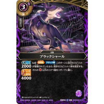 画像1: (2026/A)ブラックシャール【C】{26RBS02-014}《紫》