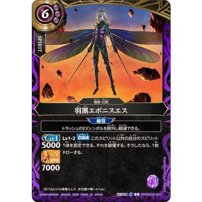画像1: (2026/A)羽黒エボニスエス【C】{26RBS02-022}《紫》