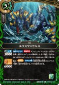 (2026/A)エラスマ＝ウルス【R】{26RBS02-032}《緑》