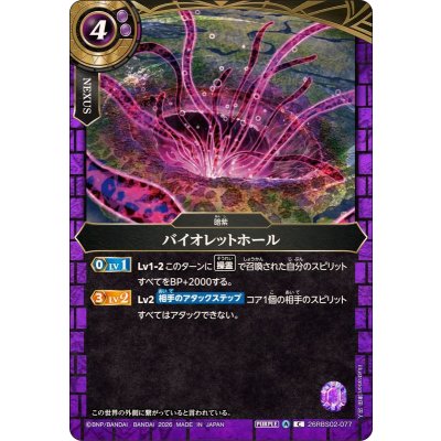 画像1: (2026/A)バイオレットホール【C】{26RBS02-077}《紫》