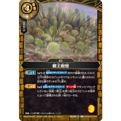 画像1: (2026/A)覇王樹壁【C】{26RBS02-083}《黄》