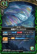 (2026/A)海扇グリースチコラ【M】{26RBS03-029}《緑》