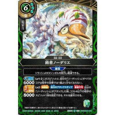 画像1: (2026/A)術者ノーダリエ【R】{26RBS03-030}《緑》