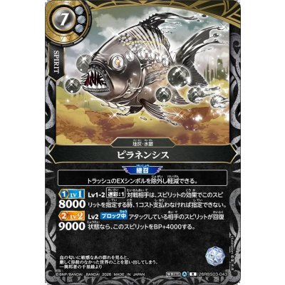 画像1: (2026/A)ピラネンシス【R】{26RBS03-043}《白》