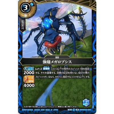 画像1: (2026/A)強翅メガロプシス【M】{26RBS03-064}《青》