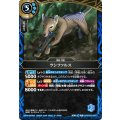 (2026/A)ラシファルス【R】{26RBS03-069}《青》
