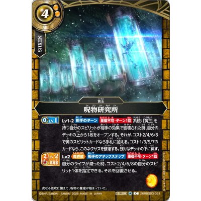 画像1: (2026/A)呪物研究所【C】{26RBS03-081}《黄》